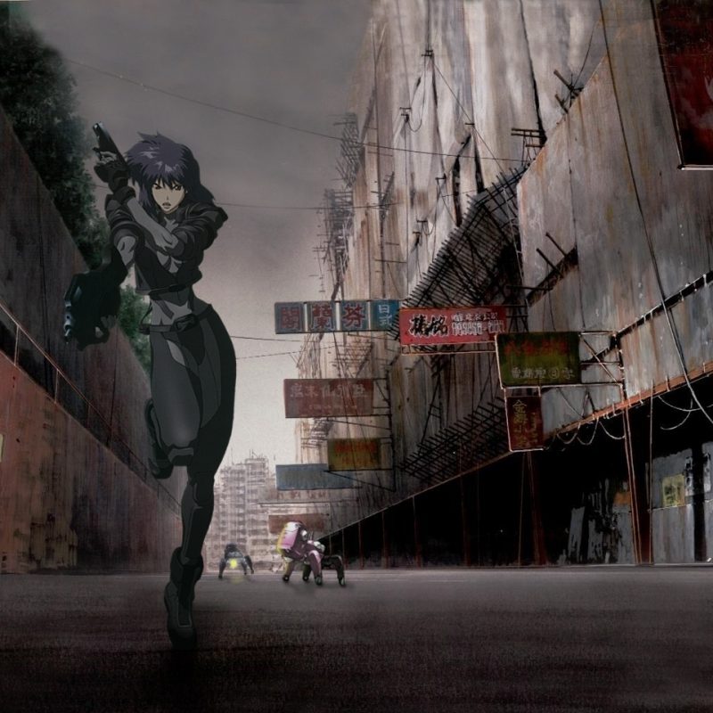 10 Most Popular Ghost In The Shell 1995 Wallpaper FULL HD 1920×1080 For PC Background 2021 free download 209 ghost in the shell hd wallpapers background images wallpaper 800x800