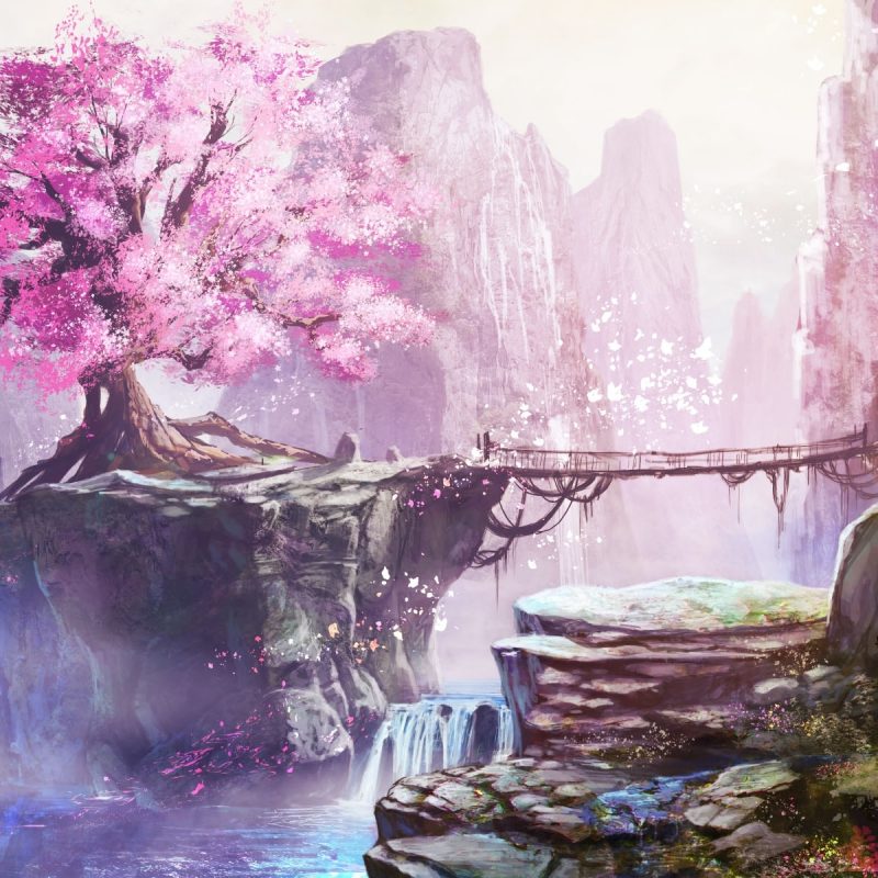 10 Most Popular Anime Cherry Blossom Wallpaper FULL HD 1080p For PC Background 2024 free download 234 cherry blossom hd wallpapers background images wallpaper abyss 1 800x800