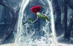 25 beauty and the beast (2017) hd wallpapers | background images