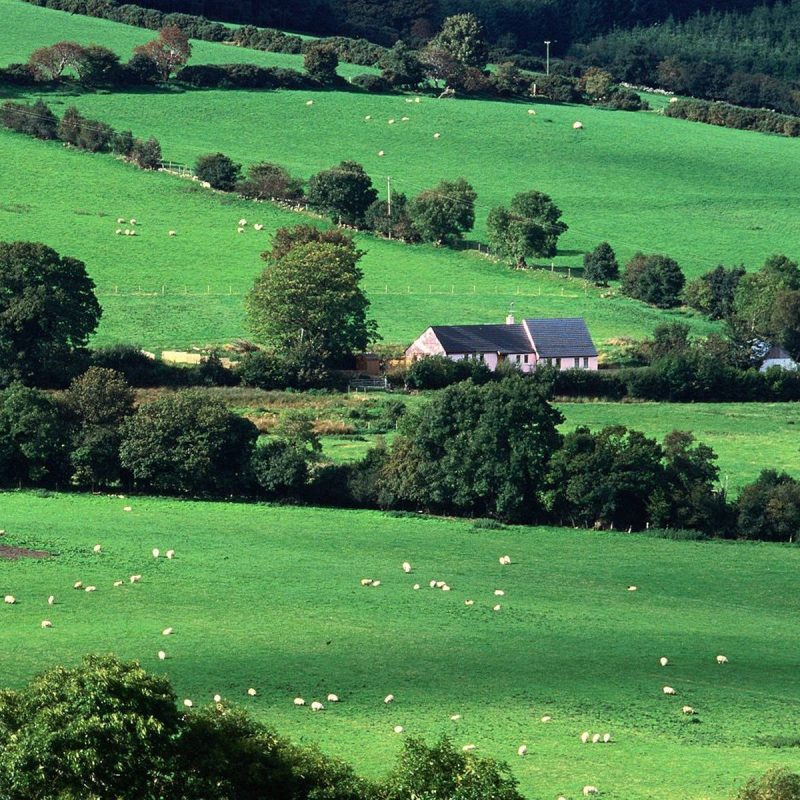 10 Most Popular Images Of Ireland Countryside FULL HD 1080p For PC Background 2024 free download 3 words to find any location in ireland with autoaddress what3words 800x800