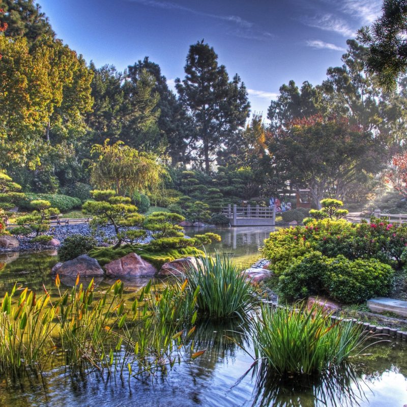 10 Best Hd Japanese Garden Wallpaper FULL HD 1920×1080 For PC Desktop 2021 free download 30 japanese garden hd wallpapers background images wallpaper abyss 800x800
