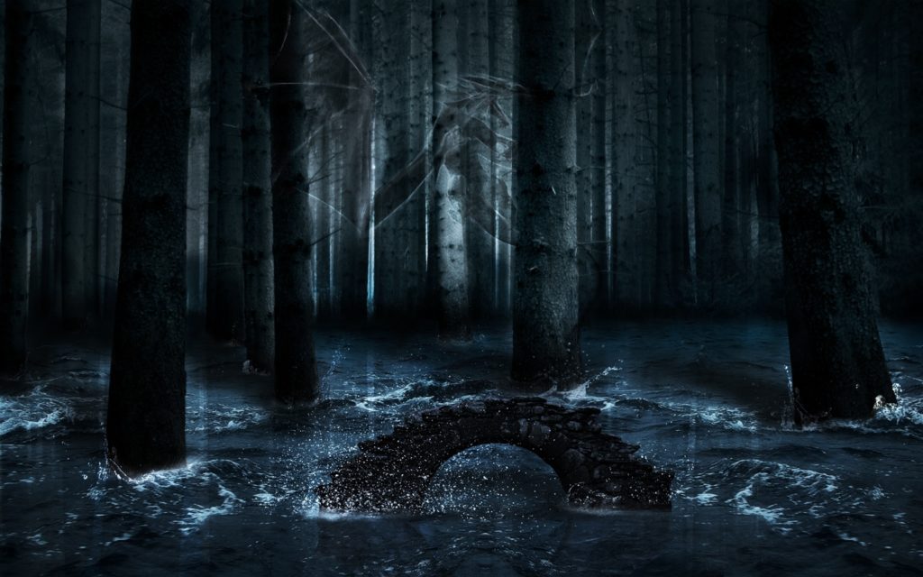 10 Latest Dark Forest Background With Moon FULL HD 1920×1080 For PC Background 2024 free download 3011 dark forest moon background hd wallpaper walops 1024x640