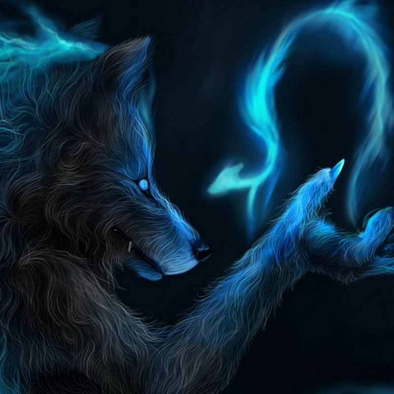 10 Most Popular Cool Pictures Of Wolfs FULL HD 1080p For PC Desktop 2024 free download 3099 cool wallpapers of wolves 800x800