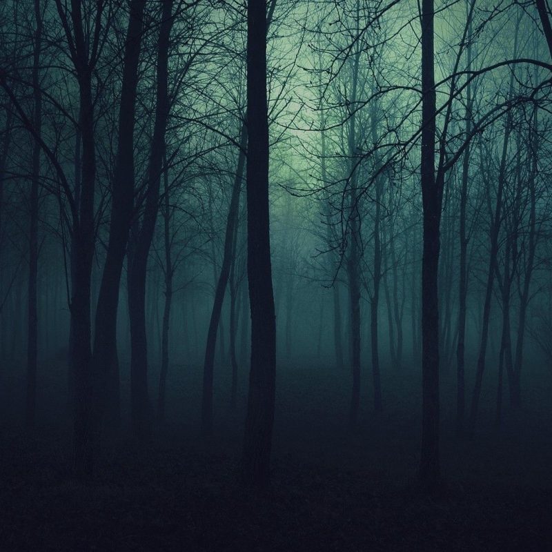 10 Latest Dark Forest Wallpapers Hd FULL HD 1920×1080 For ...