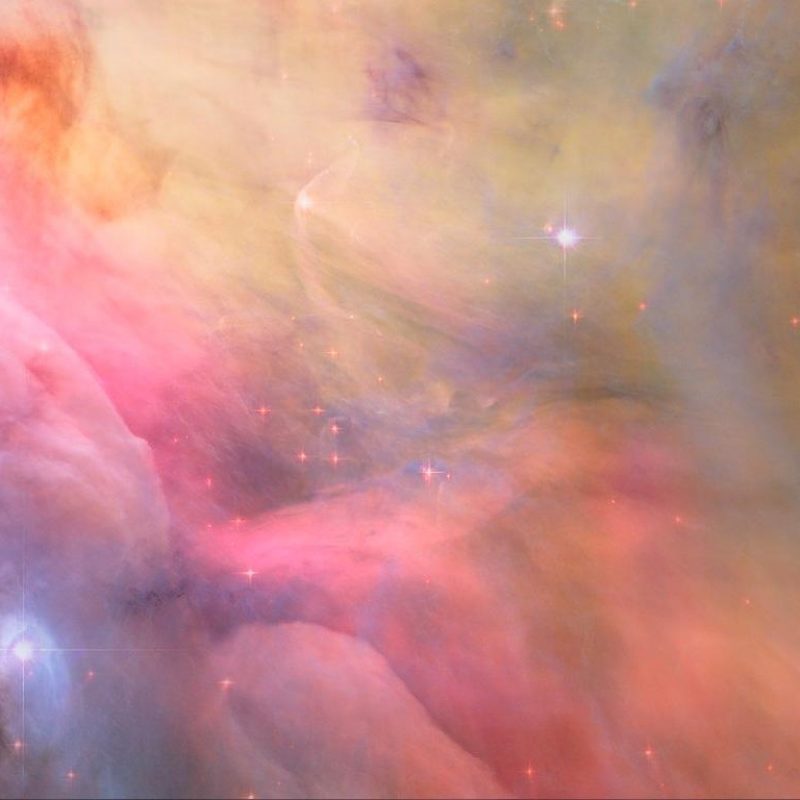 10 Latest Orion Nebula Hubble Wallpaper FULL HD 1920×1080 For PC Background 2024 free download 46 orion nebula wallpaper 800x800