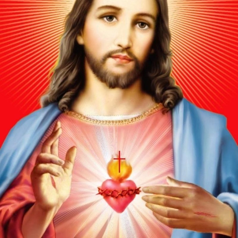 10 Latest Sacred Heart Of Jesus Photo FULL HD 1080p For PC Desktop 2024 free download 466 best sacred heart of jesus images on pinterest sacred heart 800x800