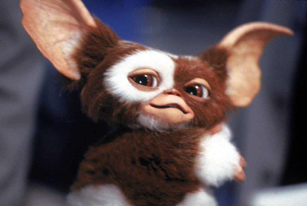 10 New Pictures Of Gizmo From Gremlins FULL HD 1080p For PC Background 2023 free download 5 best movies to watch gremlins gremlins movie and horror 1024x689