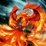 52 phoenix hd wallpapers | background images - wallpaper abyss