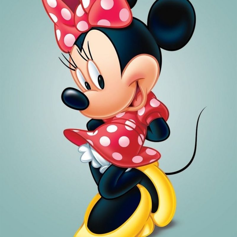 10 Top Mickey And Minnie Mouse Pic FULL HD 1920×1080 For PC Background 2024 free download 6649 best mickey minnie mouse images on pinterest mickey minnie 800x800