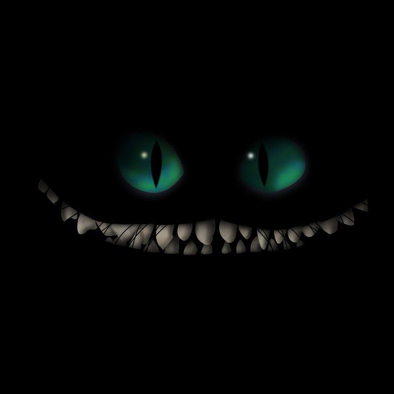 10 Top Cheshire Cat Wallpaper 1920X1080 FULL HD 1080p For PC Desktop 2024 free download 87 alice in wonderland 2010 hd wallpapers background images 1 800x800