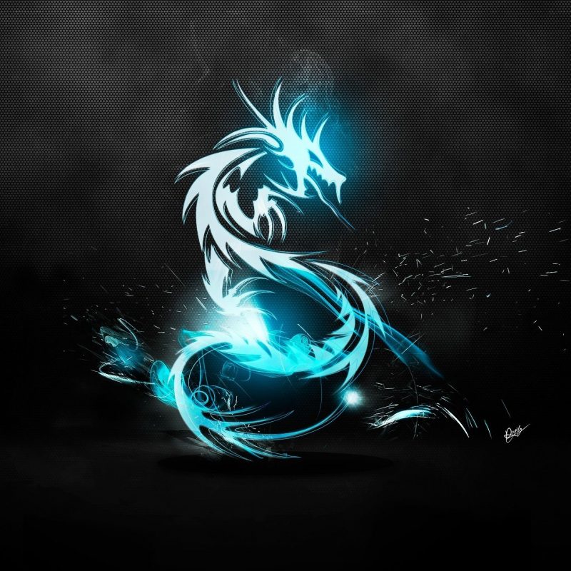 10 Best Black And Blue Dragon Wallpaper FULL HD 1080p For PC Background 2024 free download abstract blue blue dragon logos amd black background 2560x1440 800x800