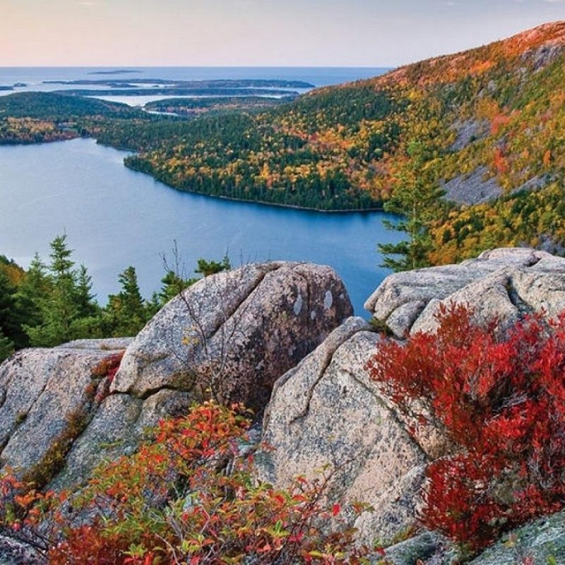 10 Latest Acadia National Park Wallpaper FULL HD 1080p For PC Background 2024 free download acadia national park wallpapers wallpaper cave 2 800x800