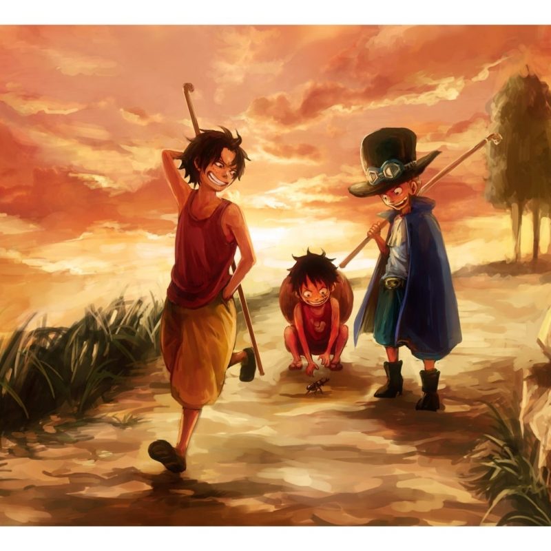 10 Top Luffy And Ace Wallpaper FULL HD 1080p For PC Background 2024 free download ace sabo and luffy why do tragedies only happen to good and loving 800x800