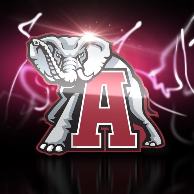 10 Top Alabama Football Logo Wallpaper FULL HD 1080p For PC Background 2023 free download alabama football logo wallpaper 133136 800x800