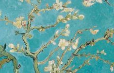 almond blossom wallpaper | iphone wallpaper | pinterest | almonds