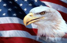 american flag with eagle wallpaper (70+ images)