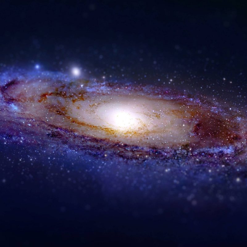 10 Most Popular Andromeda Galaxy Wallpaper 1920X1080 FULL HD 1080p For PC Background 2024 free download andromeda galaxy wallpaper space wallpapers 43619 800x800