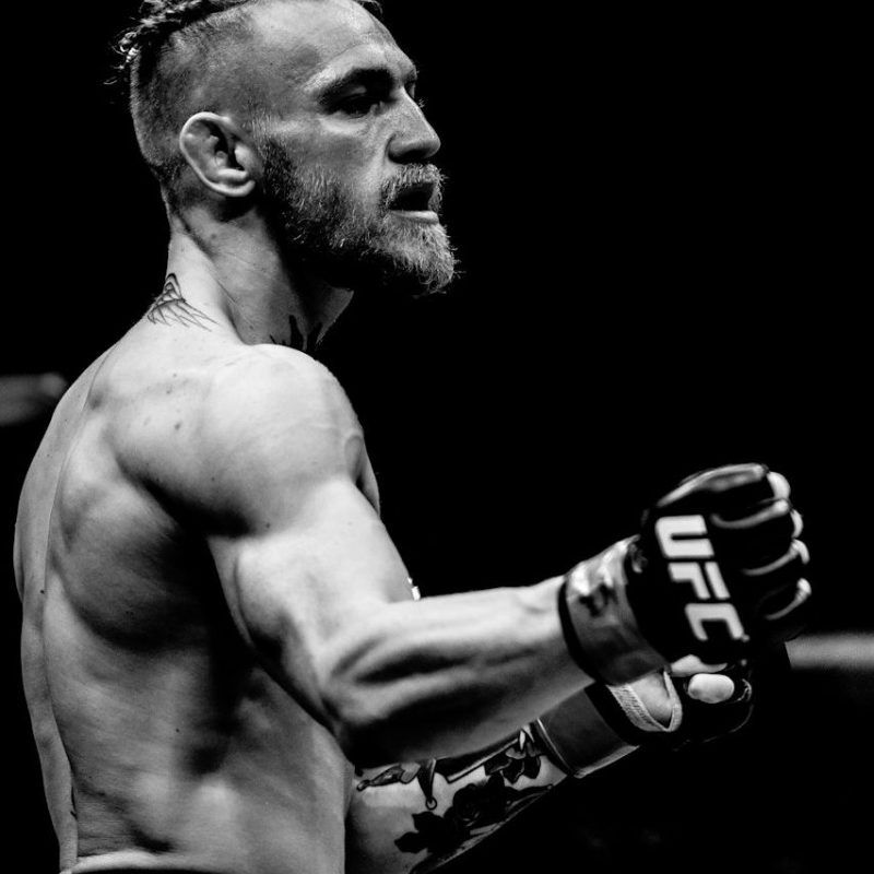 10 New Conor Mcgregor Wallpaper Phone FULL HD 1080p For PC Background 2024 free download angry silverback gorilla aggressive alpha primate t shirt conor 1 800x800