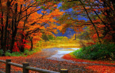 autumn fall scenery wallpaper | nature desktop wallpapers | autumn