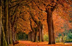 autumn wallpapers | best wallpapers