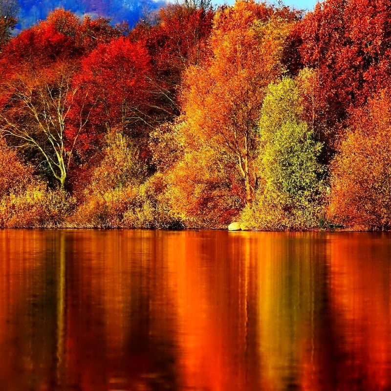 10 Most Popular Autumn Wallpaper For Pc FULL HD 1920×1080 For PC Background 2024 free download autumn wallpapers wide desktop www walldes download d0b5d181d0b5d0bd 2 800x800