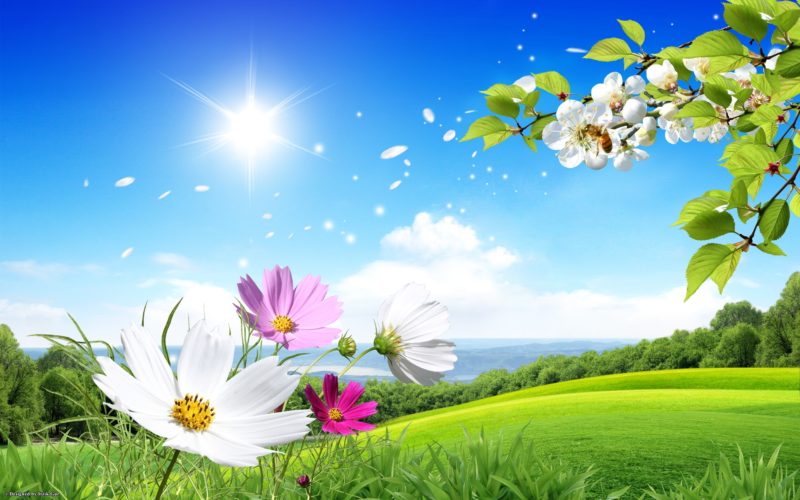 10 Latest Spring Nature Wallpapers High Resolution Full Hd 1080p For Pc