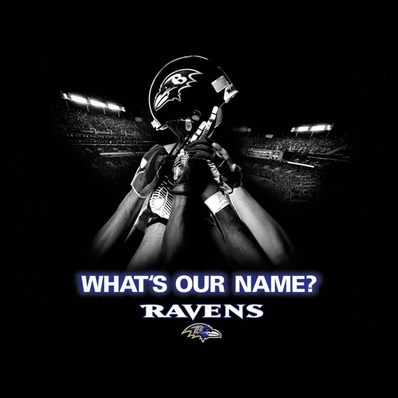 10 Top Baltimore Ravens Wallpapers Free FULL HD 1920×1080 For PC Background 2021 free download baltimore ravens wallpapers and pictures graphics download for free 1 800x800