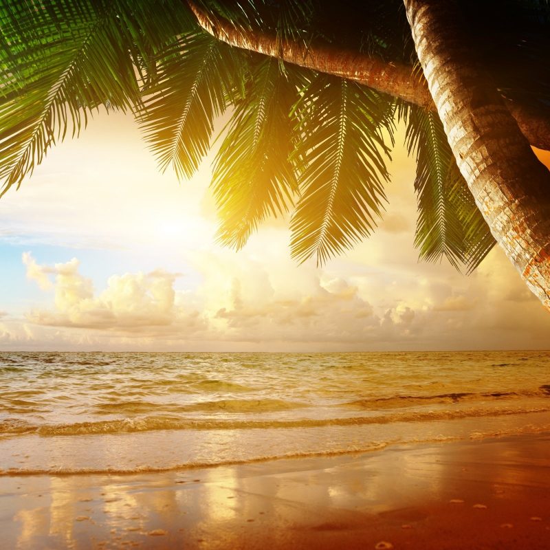 10 Latest Summer Beach Sunset Wallpaper FULL HD 1920×1080 For PC Desktop 2024 free download beach coast tropical ocean sunset palm paradise summer sea wallpaper 800x800