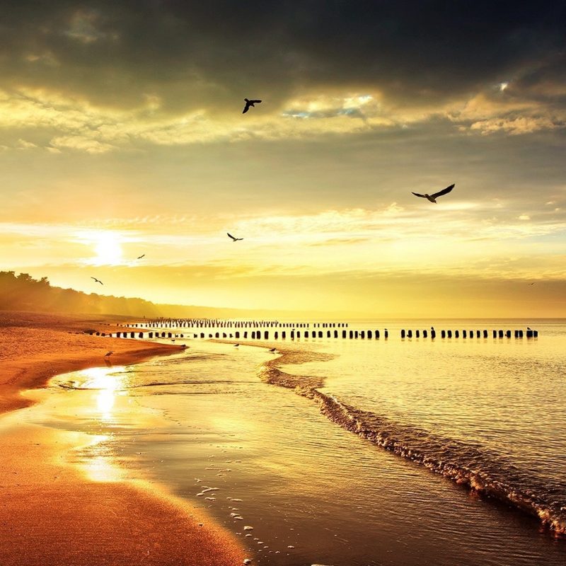 10 Latest Hd Beach Sunset Wallpaper FULL HD 1920×1080 For PC Desktop 2024 free download beach sunset wallpapers high resolution download hd beach sunset s 800x800