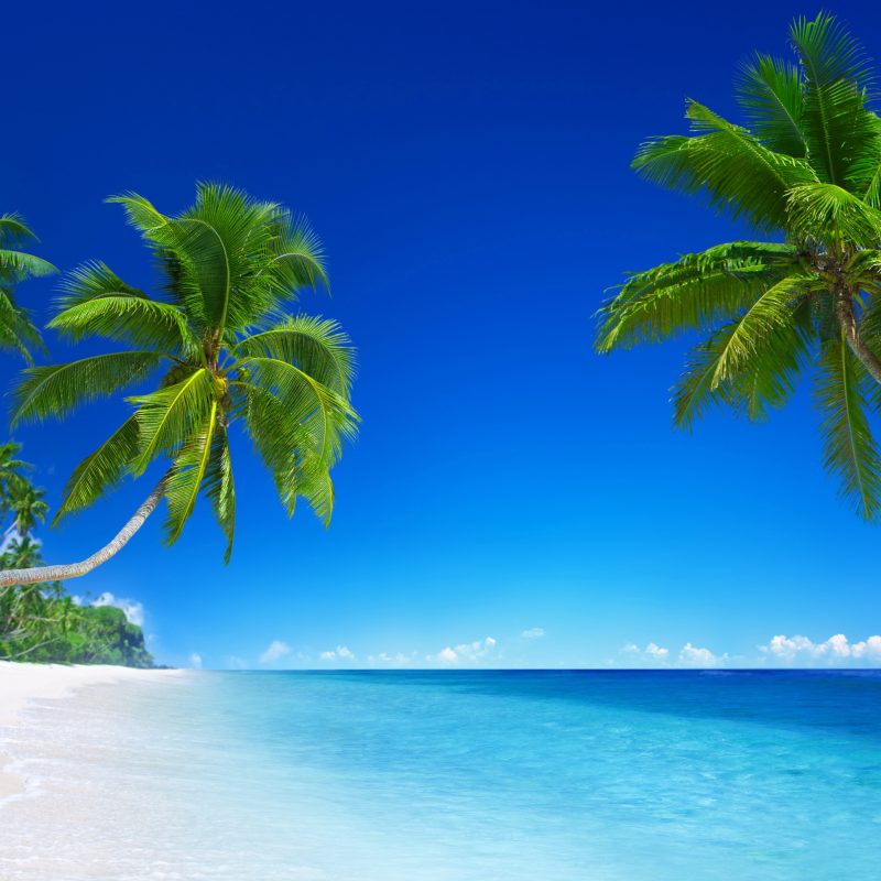 10 Best Tropical Beaches Desktop Wallpaper FULL HD 1920×1080 For PC Background 2024 free download beaches islands hd wallpapers beach desktop backgroundsstock 800x800