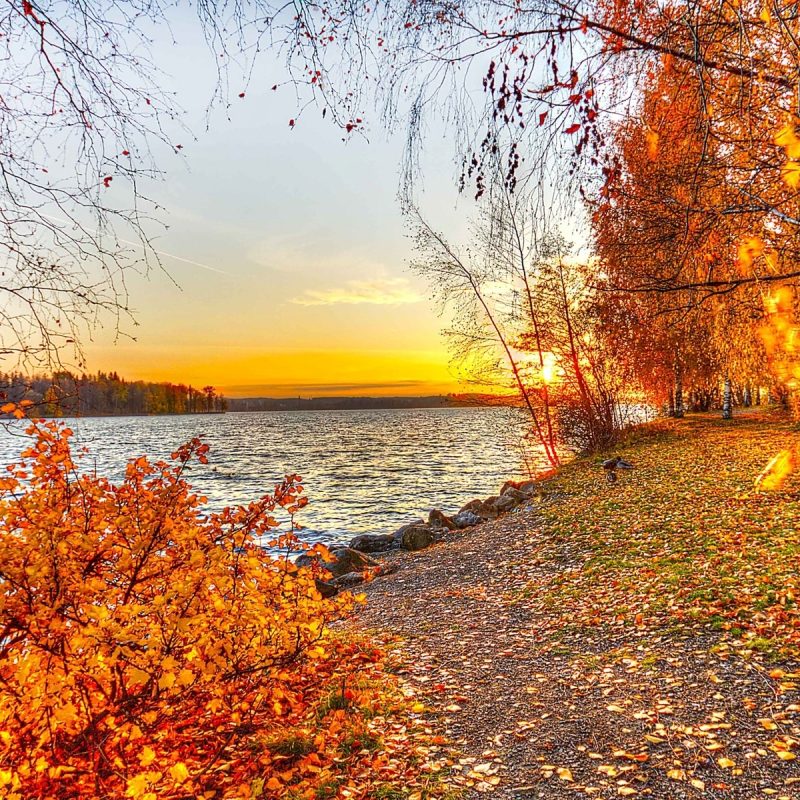10 New Autumn Landscape Wallpaper Hd FULL HD 1080p For PC Background 2021 free download beautiful autumn landscape 1920x1200 wallpaper wallpapers 800x800
