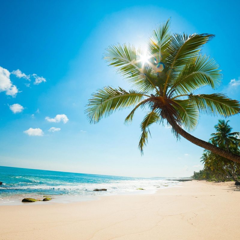 10 Latest Free Caribbean Beach Wallpaper FULL HD 1080p For PC Desktop 2021 free download beautiful caribbean beach high definition wallpaper for 800x800