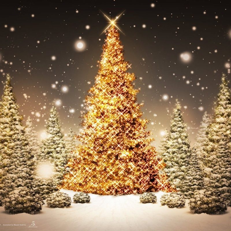 10 Best Christmas Tree Pictures For Desktop FULL HD 1920×1080 For PC Desktop 2021 free download beautiful christmas scenes jesus 50 beautiful christmas desktop 800x800