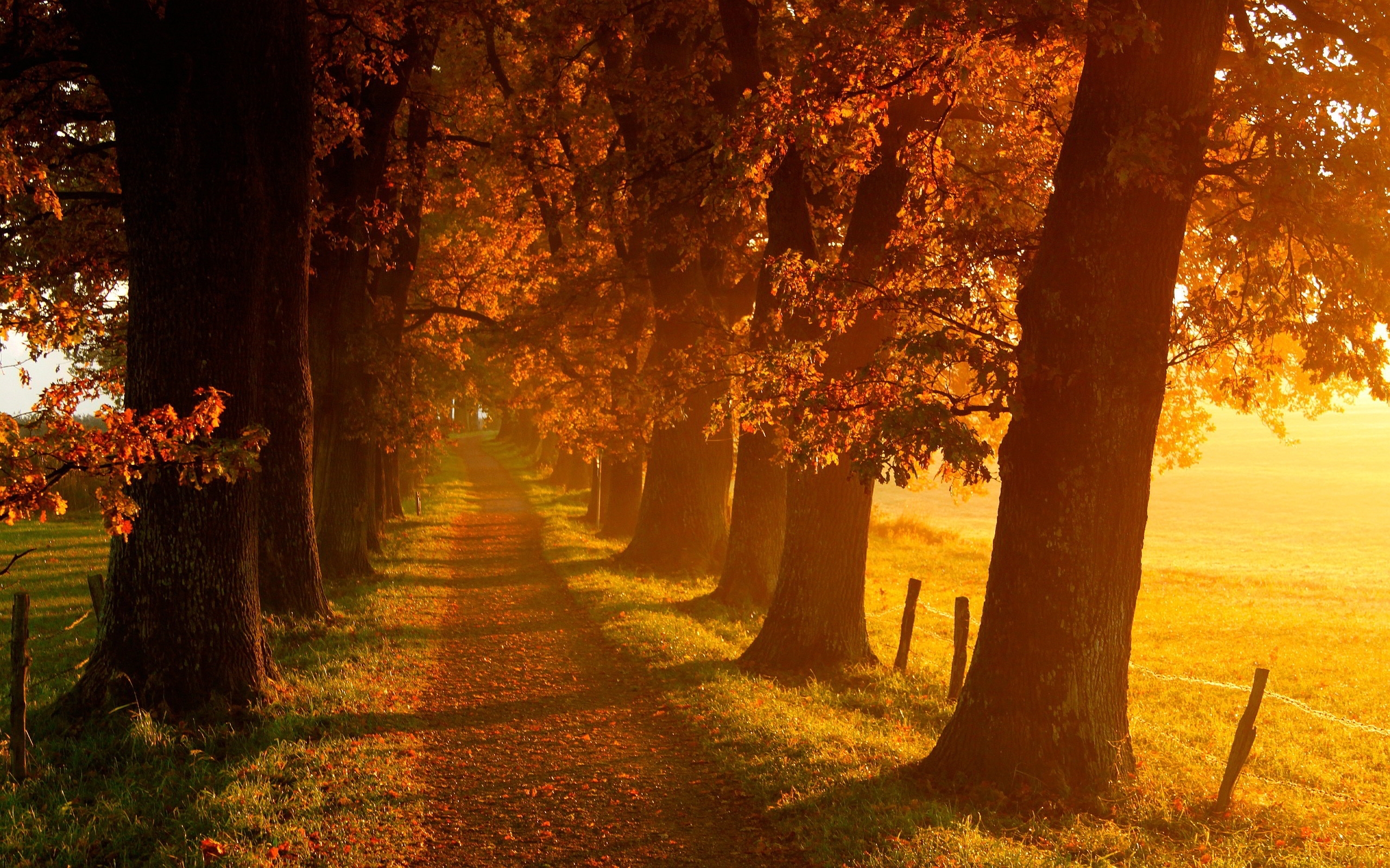 10 Best Beautiful Fall Scenery Images FULL HD 1080p For PC Desktop 2023