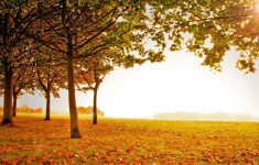 beautiful fall scenery wallpaper | (133904)