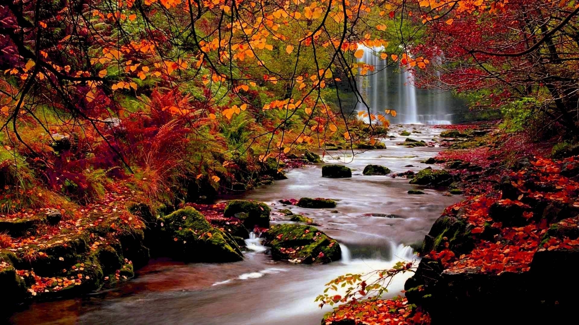 10 Top Images Of Fall Scenery FULL HD 1080p For PC Background 2021