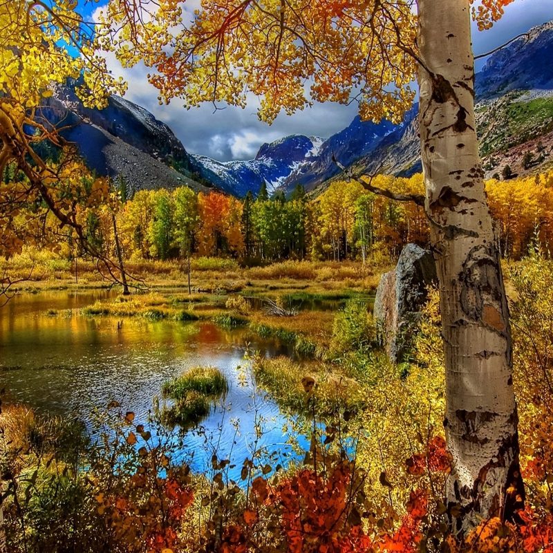 10 Best Hd Wallpapers Nature Fall FULL HD 1920×1080 For PC Background 2023 free download beautiful nature fall hd wallpapers wallpapers13 800x800