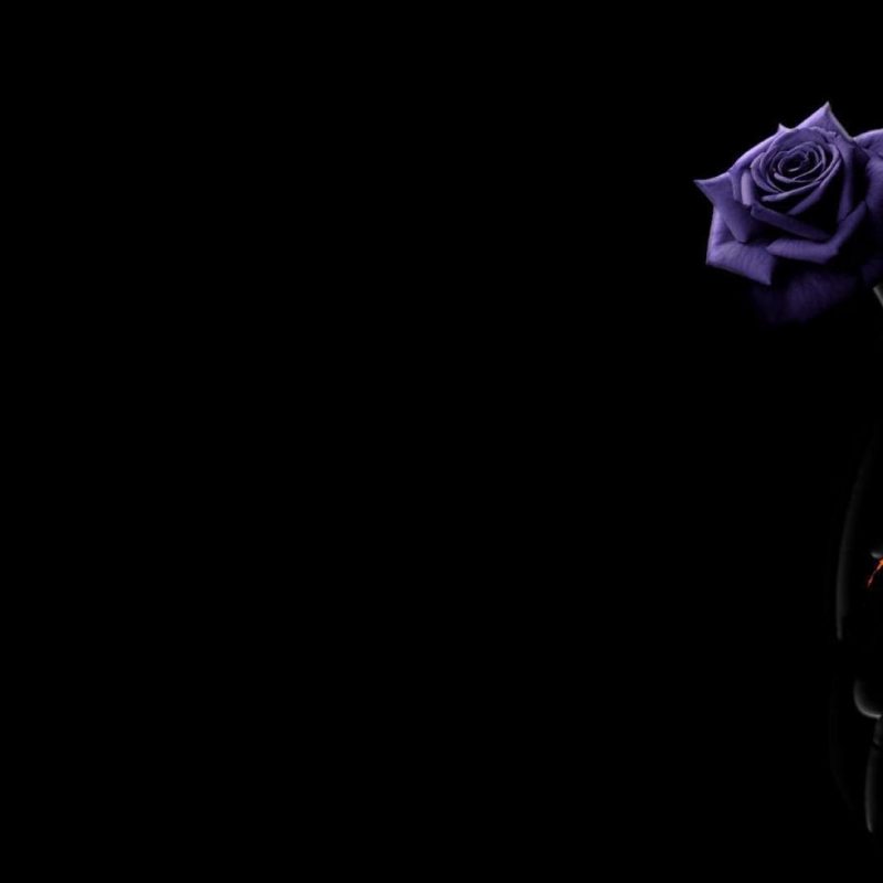 10 Most Popular Black And Purple Flower Wallpaper FULL HD 1920×1080 For PC Background 2021 free download beautiful purple flowers wallpaper images for desktop x px 800x800