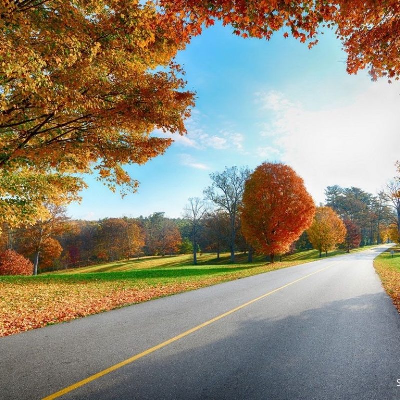 10 Latest Fall Country Backgrounds For Computer FULL HD 1920×1080 For PC Desktop 2024 free download beautiful roads e29cbf e280a2 e280a2 e29da5 cb9ae29cb0eaaea2eaae8eeaadbaeaadb0s 800x800