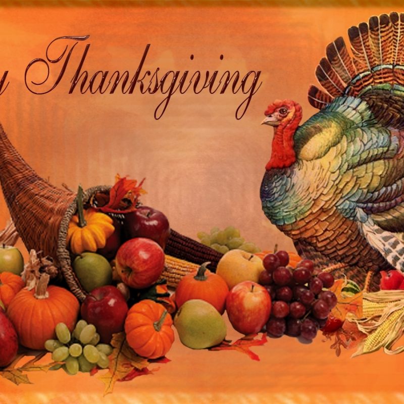 10 New Happy Thanksgiving Wallpaper Hd FULL HD 1080p For PC Desktop 2021 free download best happy thanksgiving day pumpkin turkey feast hd wallpaper 800x800