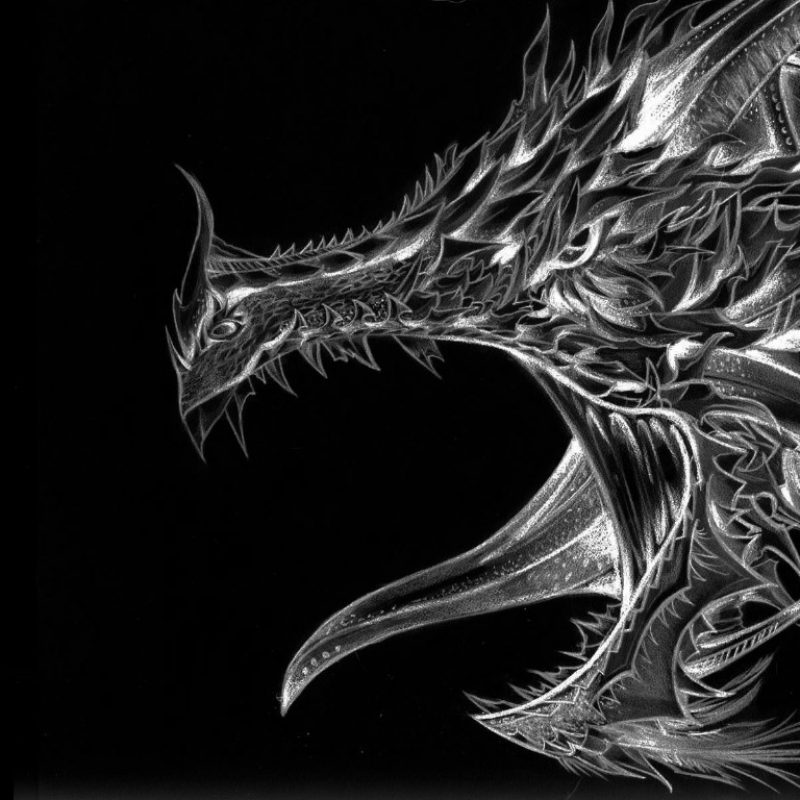 10 New White Dragon Wallpaper Widescreen FULL HD 1080p For PC Desktop 2024 free download black and white dragon fond decran and arriere plan 1366x768 id 800x800