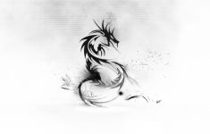 black and white dragon gallery 569187330 wallpaper for free