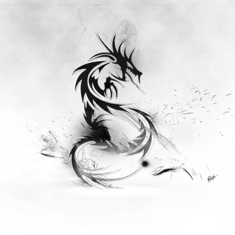 10 Latest Black And White Dragon Wallpaper FULL HD 1080p For PC Desktop 2021 free download black and white dragon gallery 569187330 wallpaper for free 800x800