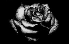 black rose gothic picture wallpaper | roses | pinterest | gothic