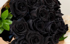 black rose in miami beach, fl | miami beach flowers®