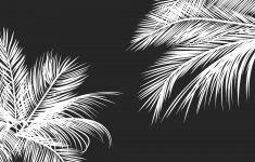 black white palm leaves palm trees like and repin. noelito flow