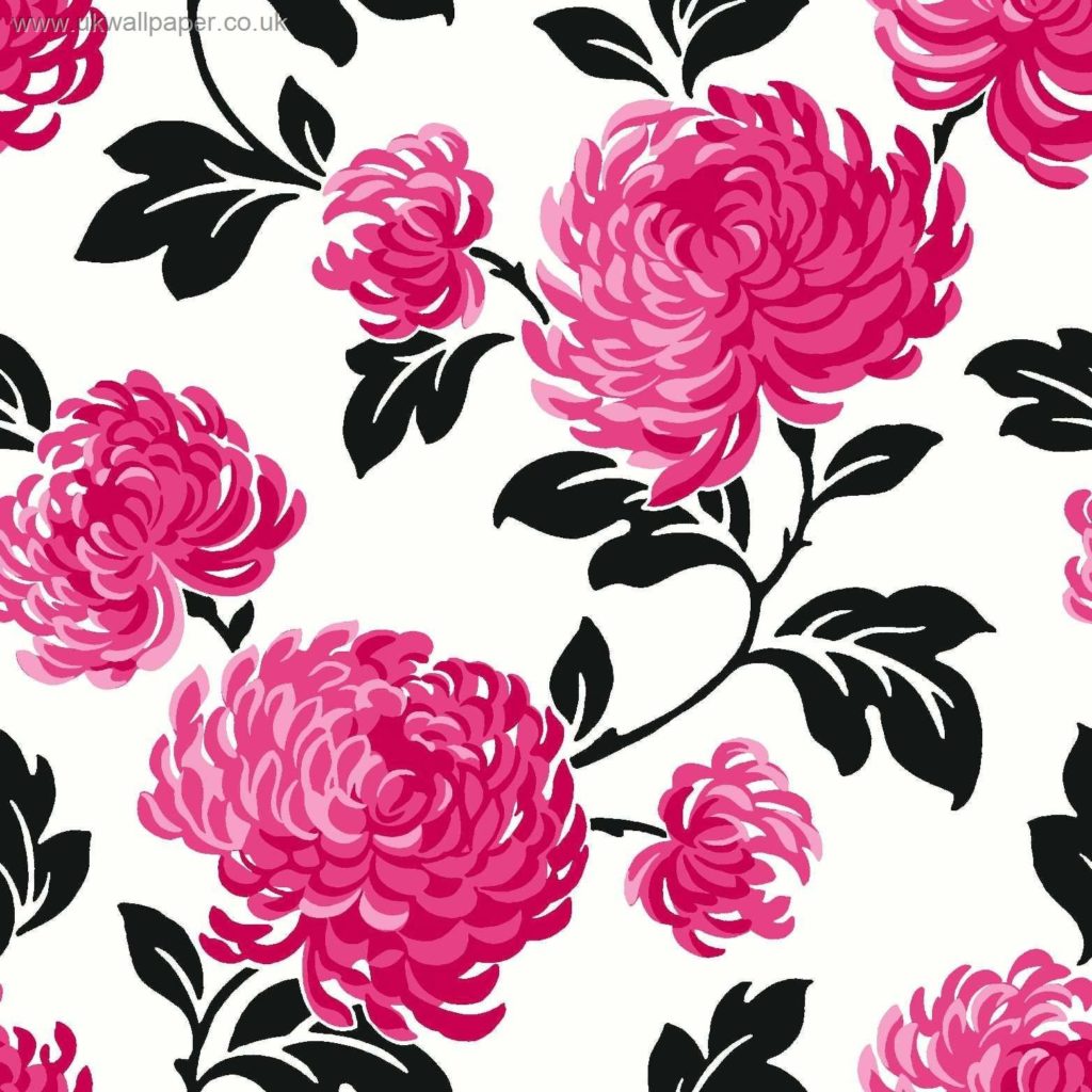 10 Top Black And Pink Flower Wallpaper FULL HD 1080p For PC Background 2024 free download bloom bloom wallpaper 13888 pinkblackbloom wallpaper 13890 pink 1024x1024