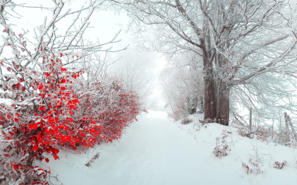 10 Top Beautiful Snow Pictures Backgrounds FULL HD 1920×1080 For PC Desktop 2024 free download breathtaking dark wallpapers for your desktop hongkiat 1024x640