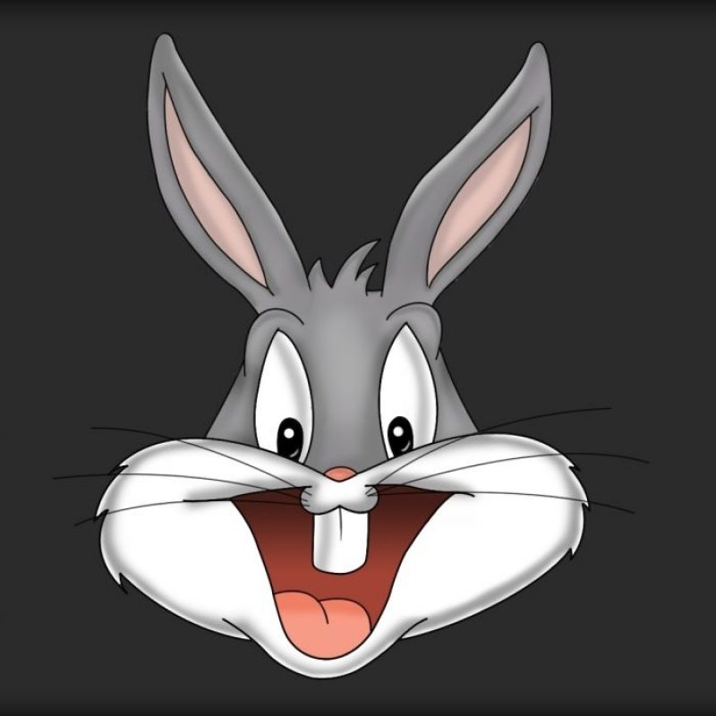 10 Best Bugs Bunny Wall Paper FULL HD 1920×1080 For PC Background 2024 free download bugs bunny looney tunes wallpaper 1920x1080 160673 wallpaperup 800x800