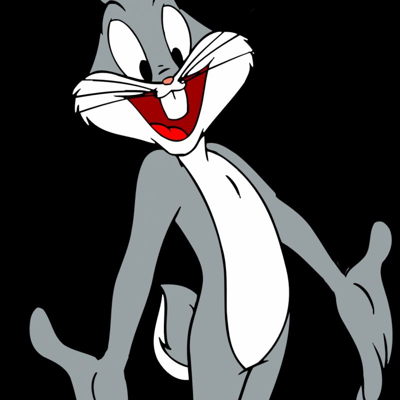 10 Best Bugs Bunny Wall Paper FULL HD 1920×1080 For PC Background 2024 free download bugs bunny wallpaper bdfjade 800x800